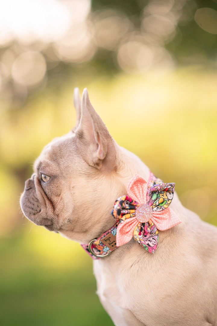 Easter dog collar with flower - Animals Celebration