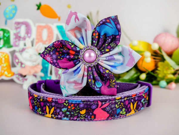 Easter dog collar with flower - rainbow bunny