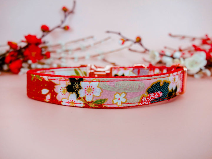 japanese kimono dog collar - Red sakura