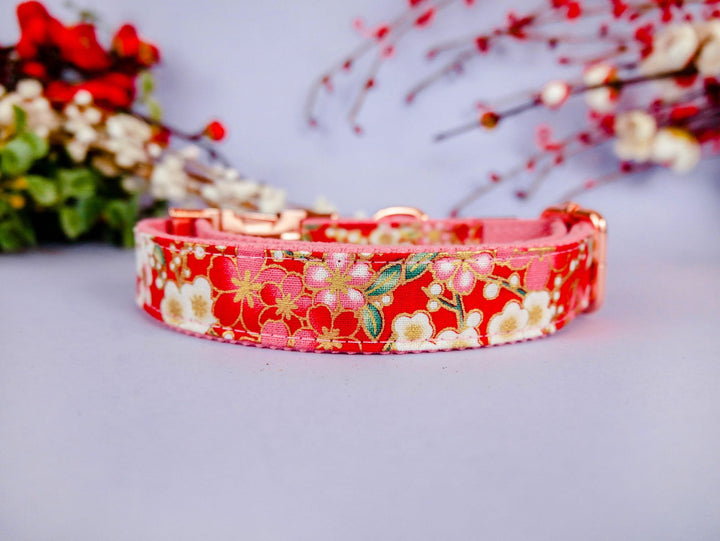 Dog collar - Red Sakura