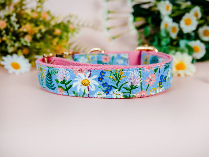 Rifle Paper Co dog collar - Daisy and wildflower