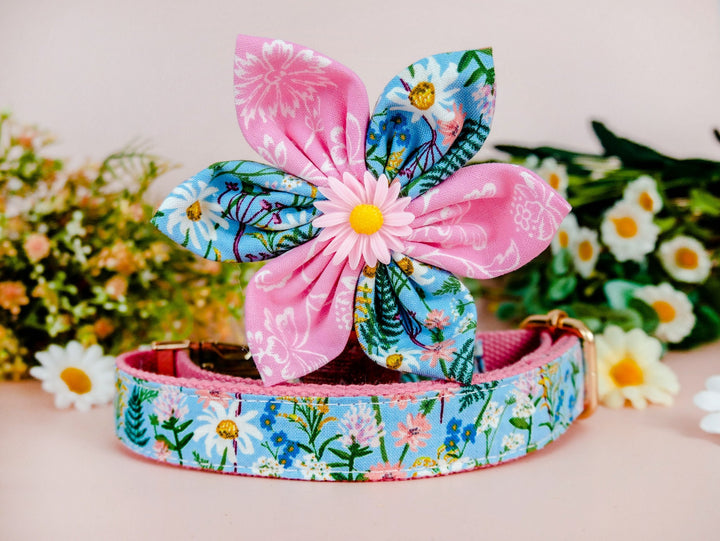 Rifle Paper Co Dog collar with flower - Daisy and wildflowers