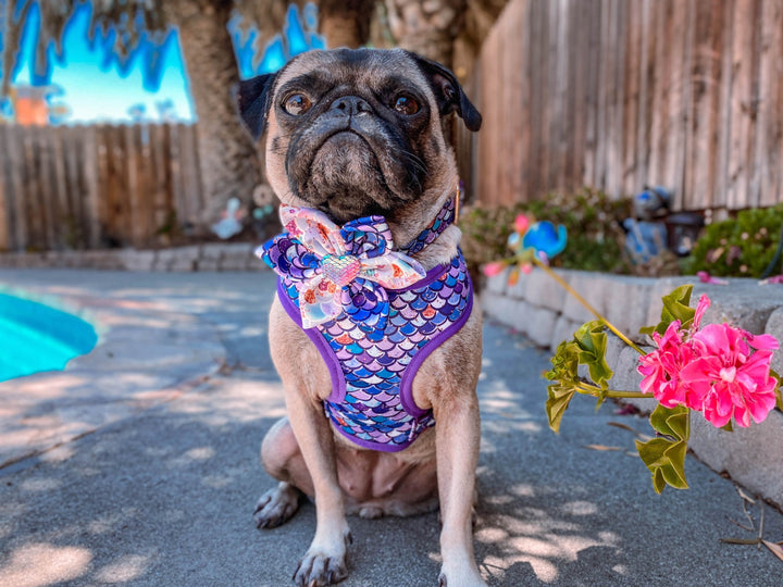 Dog collar with flower - purple glitter mermaid scales