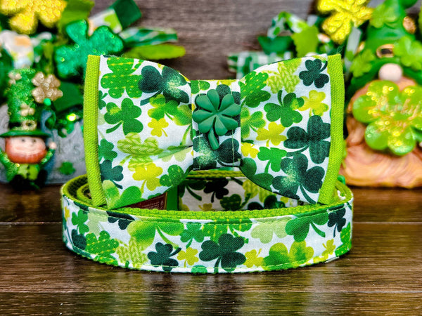 St. Patrick's Day dog collar with bow tie - Shamrocks