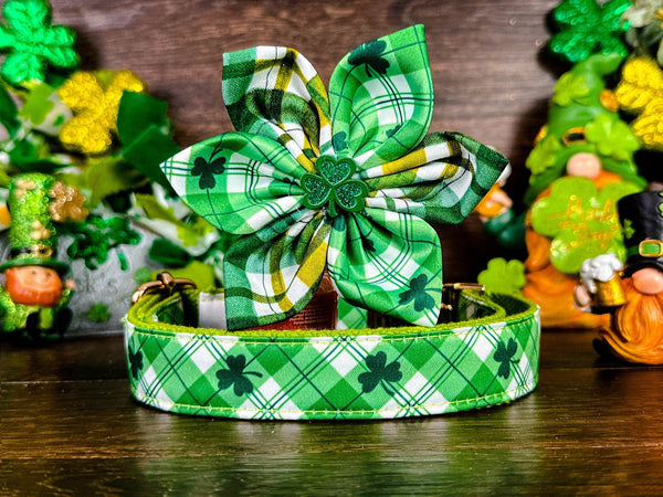 St. Patrick's Day dog collar with flower - Plaid and Shamrock