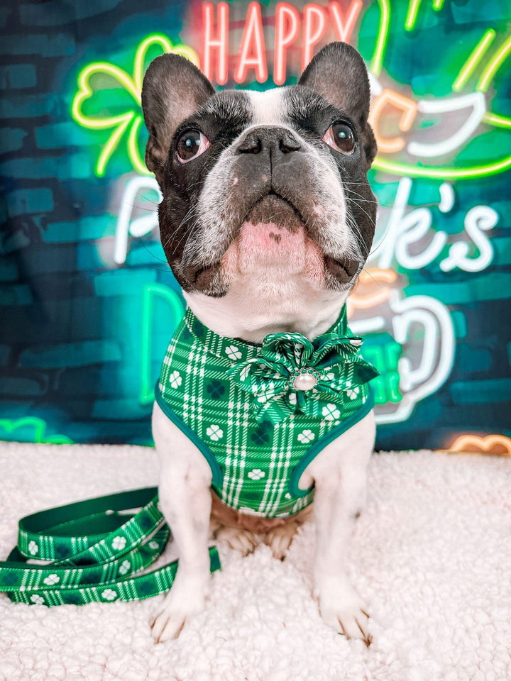 St. Patrick's Day dog collar with flower - Plaid and clover