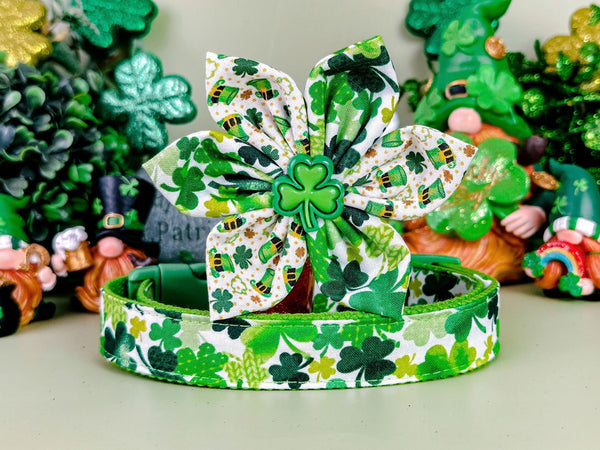 St. Patrick's Day dog collar with flower - Shamrocks