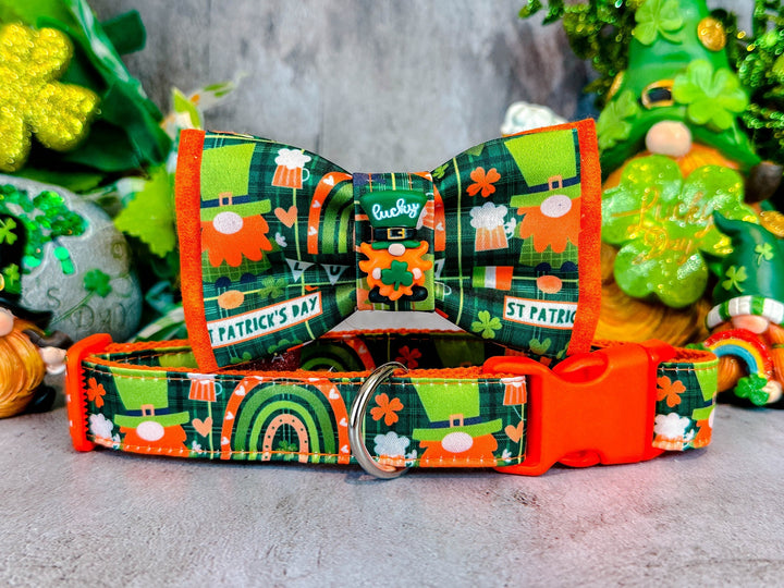 St. Patrick's Day dog collar with bow tie - Rainbow Leprechaun Gnome