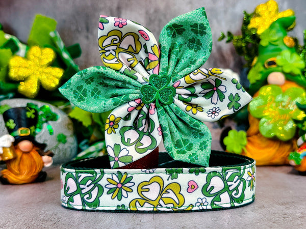 St. Patrick's Day dog collar with flower - Shamrock and flower