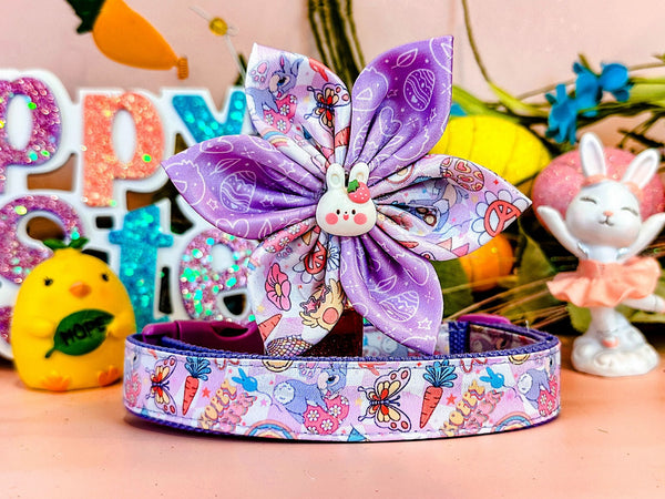 Easter dog collar with flower - Groovy melody