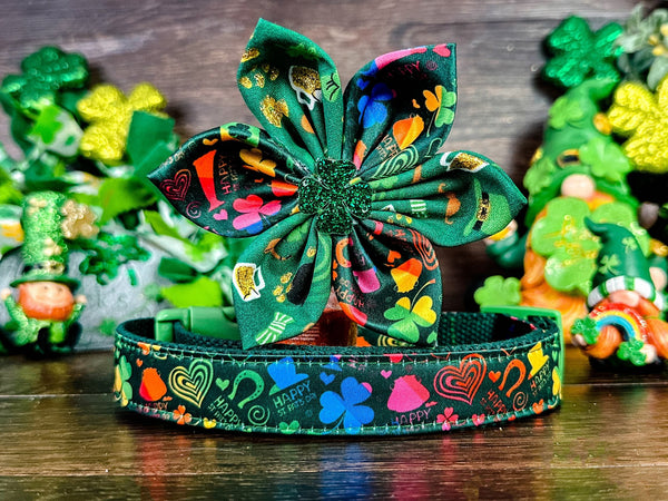 St. Patrick's Day dog collar with flower - Rainbow Stipes