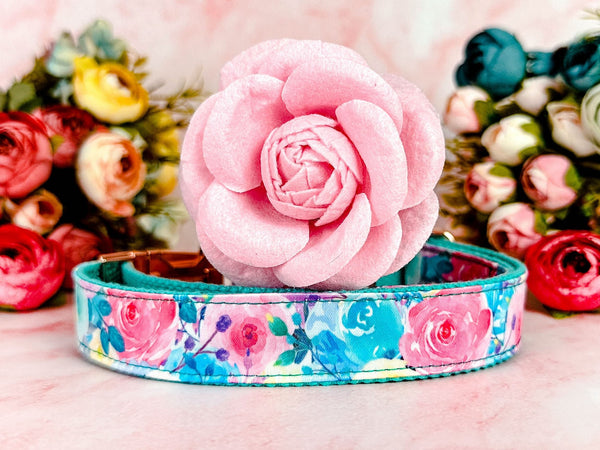 Dog collar with flower - Spring rose flowers