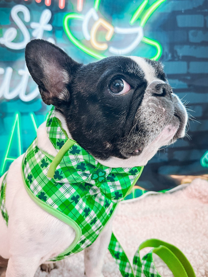 St. Patrick's Day dog collar with bow tie - Shamrock and Plaid
