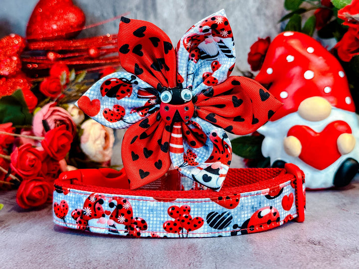 Valentine dog collar with flower - Ladybug and Gnome