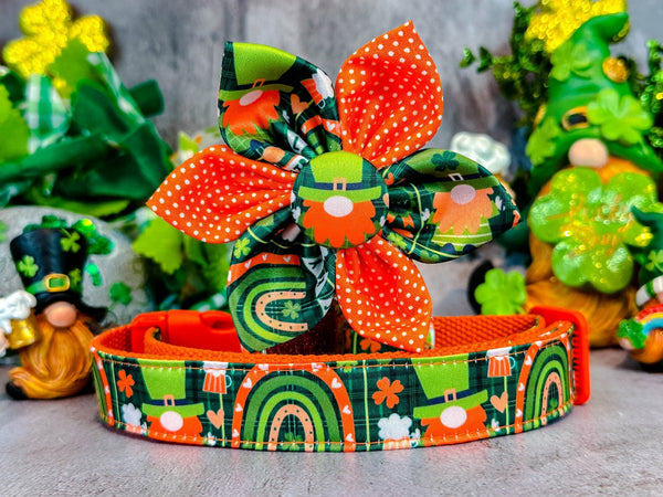 St. Patrick's Day dog collar with flower - Rainbow Leprechaun Gnome