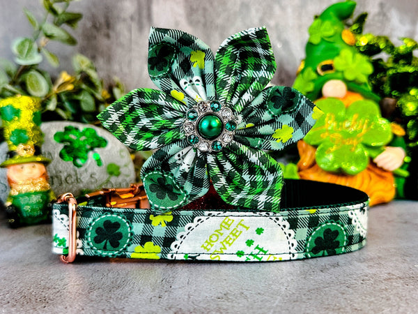 St. Patrick's day dog collar with flower - Gliter Shamrock