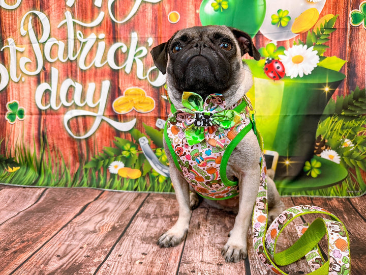 St. Patrick's Day dog harness - lucky mouse