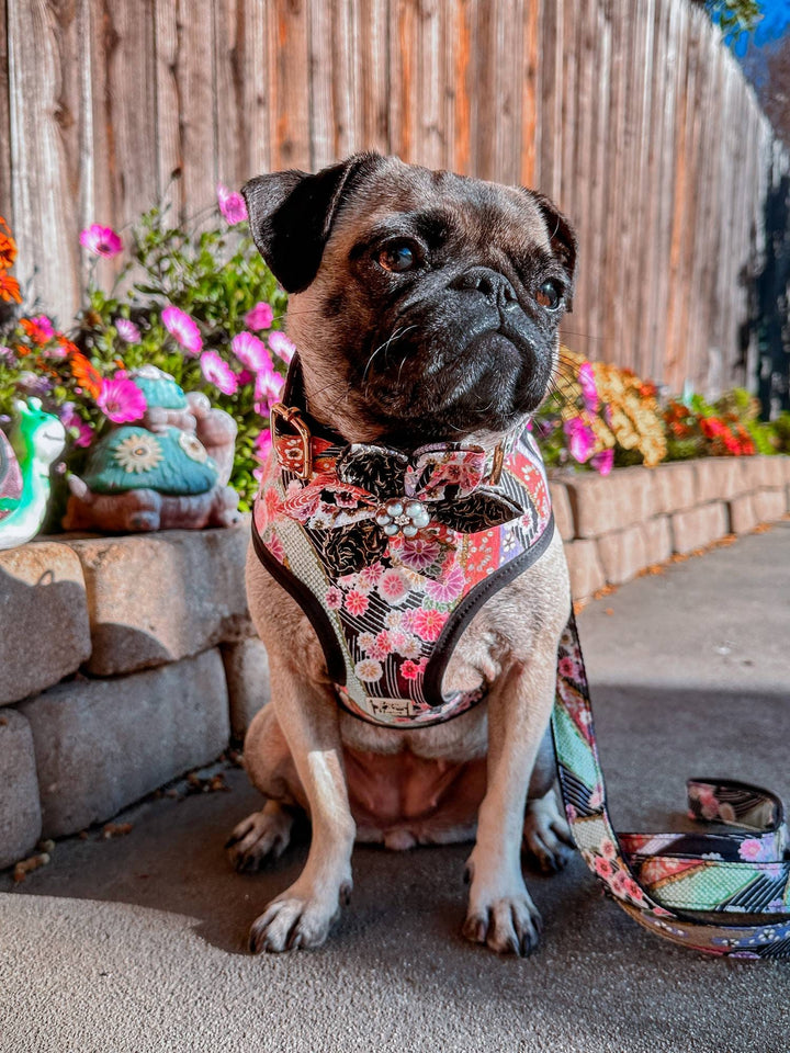Japanese Kimono Dog harness - black stripe and cherry blossom