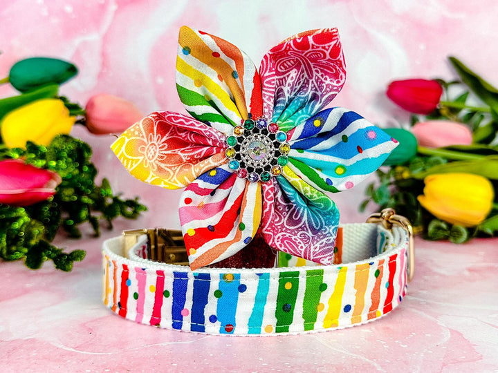 Dog collar with flower - rainbow stripe dots