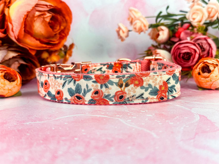 Rifle Paper Co Engraved buckle dog Collar - Rosa Peach