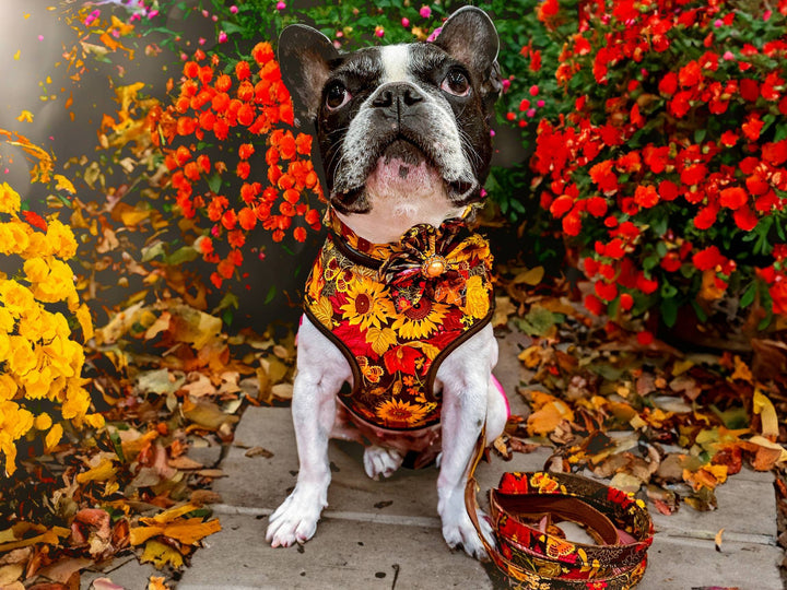 Thanksgiving dog harness - Glitter Sunflowers
