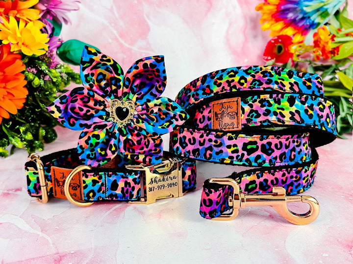 Dog collar with flower - rainbow leopard