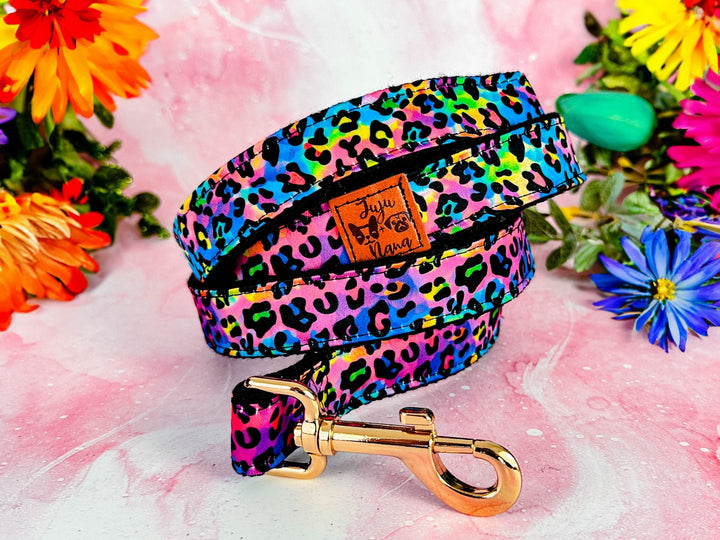 Engraved buckle dog collar - rainbow leopard