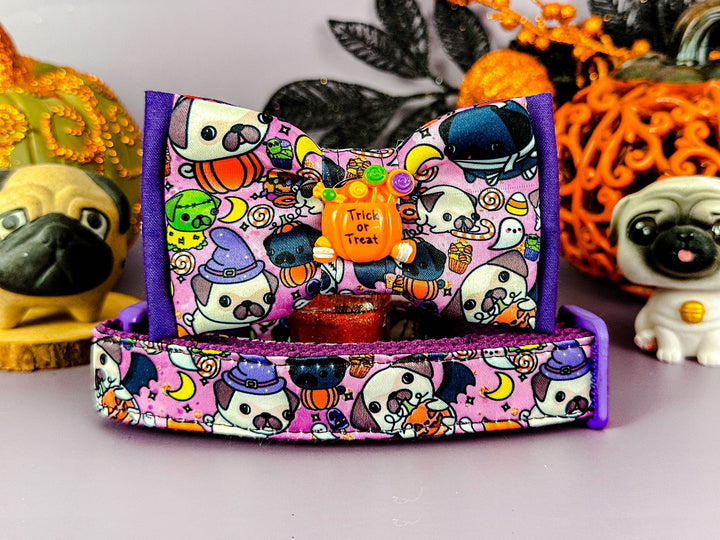 Dog collar with bow tie - Halloween Pug