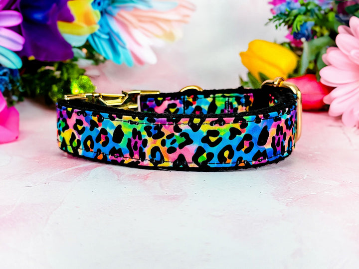 Engraved buckle dog collar - rainbow leopard
