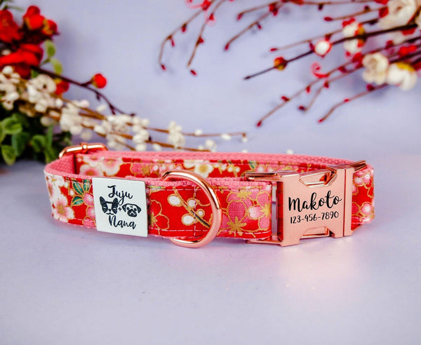 personalized dog collar/ Engraved buckle dog collar