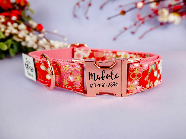 personalized dog collar/ Engraved buckle dog collar