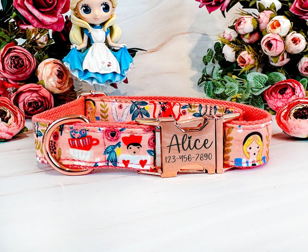 Rifle Paper Co Engraved buckle dog collar - Alice in Wonderland in Pink