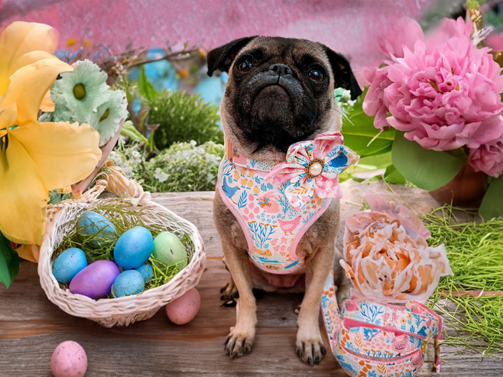Easter dog harness - Floral animals