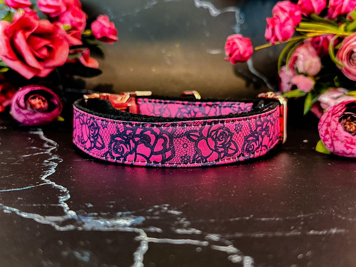 Engraved buckle dog collar - Lace and roses