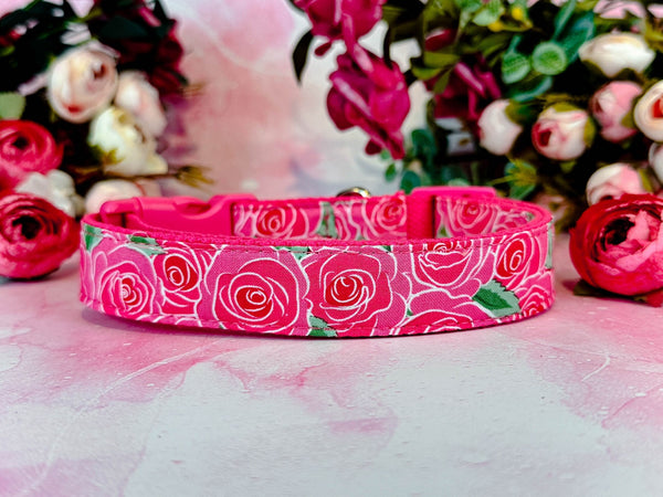 Dog collar - Pink Boho roses