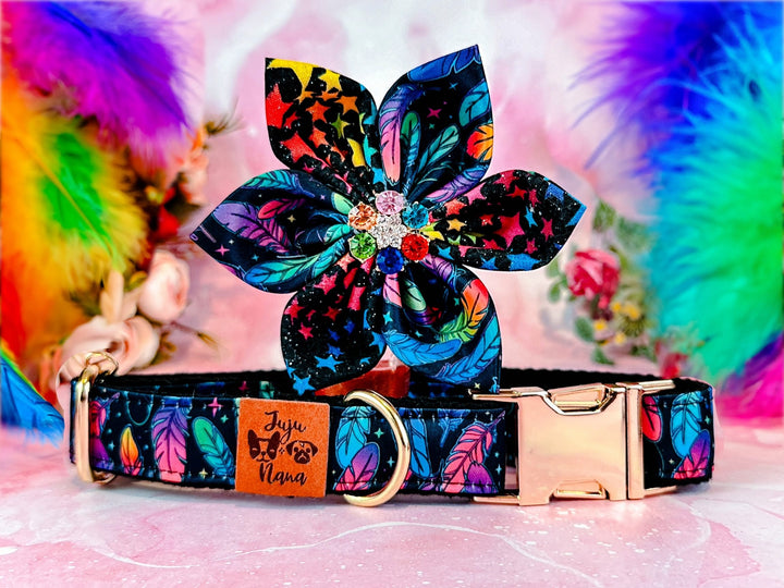 Dog collar with flower - Rainbow feathers