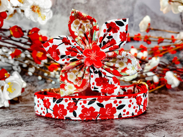 Dog collar with flower - Red plums in white