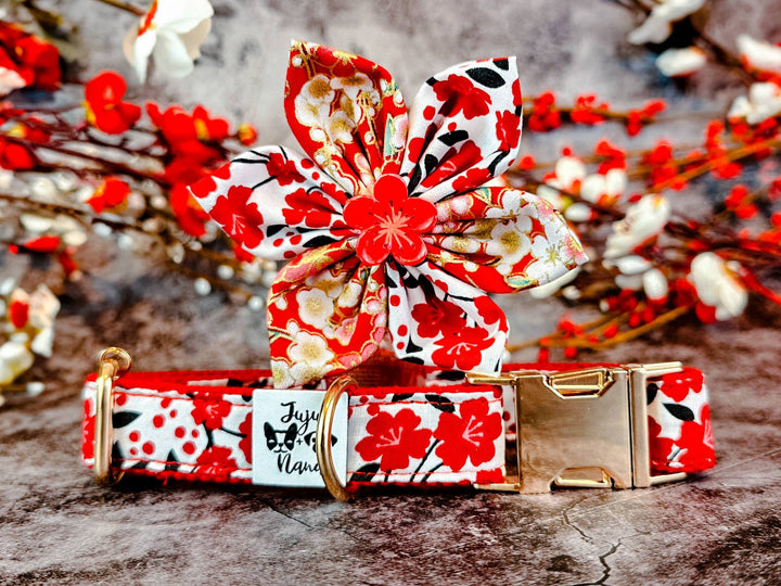 Dog collar with flower - Red plums in white