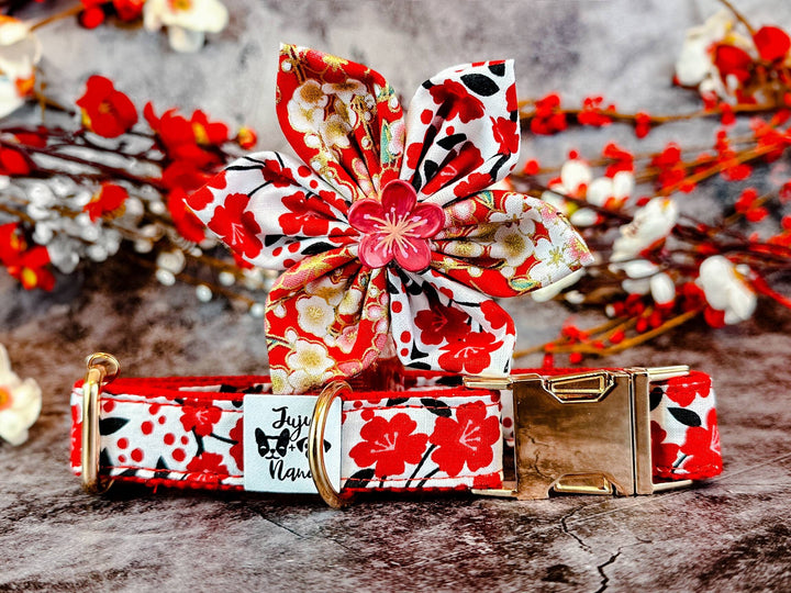 Dog collar with flower - Red plums in white