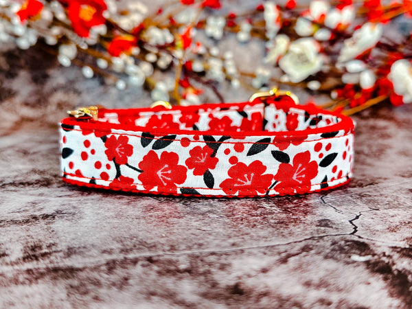 Dog collar - Red plums in white