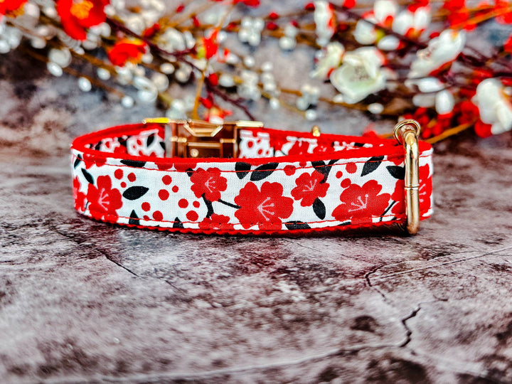 Engraved buckle dog collar - Red plums in white