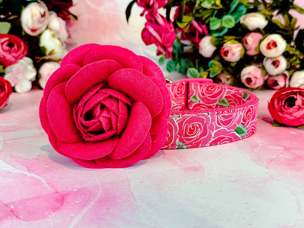 Dog collar with flower - Pink boho roses