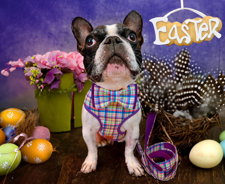 Easter dog collar with bow tie - spring plaid - purple and yellow