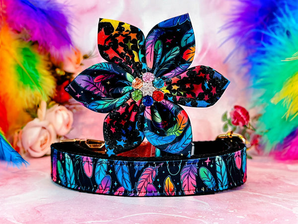 Dog collar with flower - Rainbow feathers