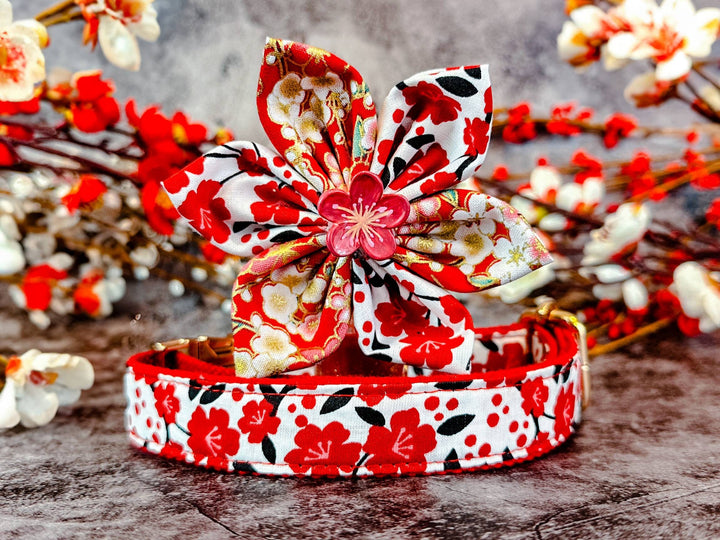 Dog collar with flower - Red plums in white