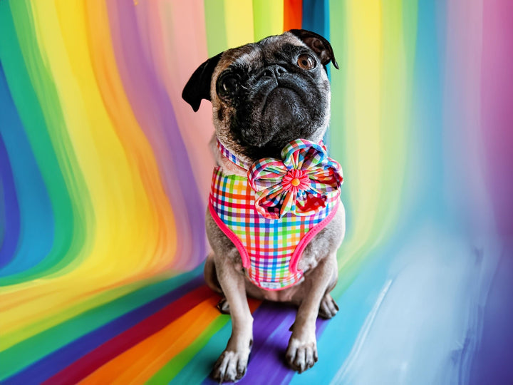 Dog harness - rainbow plaid - pink trim