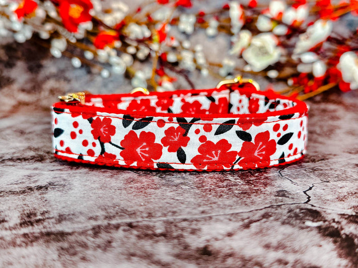 Engraved buckle dog collar - Red plums in white