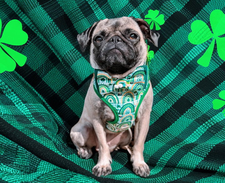 St. Patrick's Day dog harness - Plaid and Rainbow