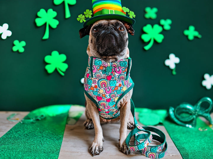 St. Patrick's day dog harness - Rainbow charms