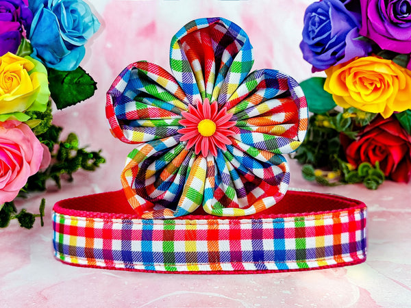 Rainbow plaid dog collar flower